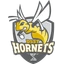 DSST: Conservatory Green logo