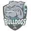 DSST: Elevate Northeast logo