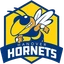 Hanover logo