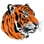 Hayden logo
