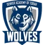 Denver Academy of Torah logo