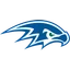SkyView Academy logo
