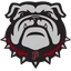 Palisade logo