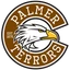 Palmer logo