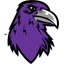 Denver South logo