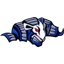 Akron logo