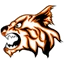 Branson logo